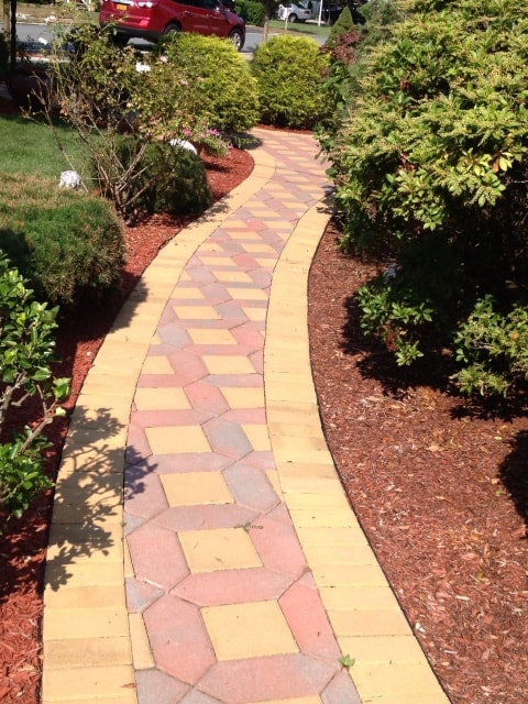 Backyard Patio